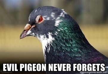 evil-pigeon-never-forgets.jpg