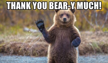 thank-you-bear-y-much.jpg