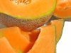 $muskmelon-cantaloupe-2.jpg