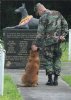 $war-dog-memorial.jpg