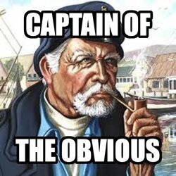 Captain of the Obvious (meme).jpg