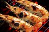 $15162708-grilled-prawns-on-the-grill.jpg