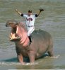 $jeff-francoeur-riding-a-hippopotamus_001.jpg