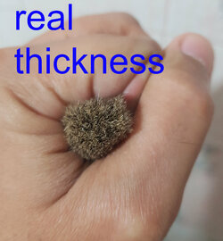 real thickness.jpg