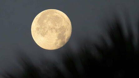 moon set Apr 25 2024.jpg