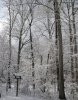 $winter-IMG_4086.jpg