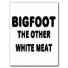 $bigfoot_the_other_white_meat_post_cards-r17fc2ee72f5542949472de36d92e4ad6_vgbaq_8byvr_324.jpg