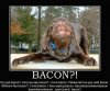 $Bacon.jpg