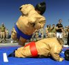 $epic-sumo-suit-wrestling-party-houston.jpg