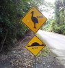$Kangaroo Sign.jpg