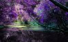 $nature-landscapes_widewallpaper_lilac-garden_14565.jpg