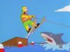 $homer-jump-shark.jpg