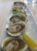 $bluff oysters 2.jpg
