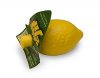 $250px-Jif_Lemon.jpg
