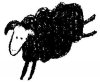 $minor-threat-sheep.jpg