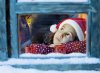 $Christmas-Dream-593x435.jpg