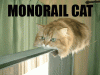 $monorail-cat-has-left-the-station.gif