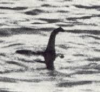 $nessie.png