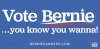 $Bernie-bumper-sticker.jpg