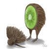 $Crazy_Little_Thing_Called_Kiwi_by_disorderlymind.jpg