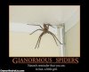 $giant-spiders-men-into-girls-demoti.jpg