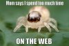 $funny-cute-spider-web-pun.jpg