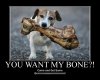 $little_dog_w_big_bone_by_kclcmdr-d36z4gu.jpg