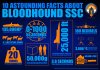 $Bloodhound_Astounding_infographic.jpg