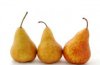 $bosc pears.jpg
