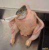 $Smoking fish in turkey.jpg