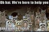 $funny-pictures-raccoons-are-here-to-help-you.jpg