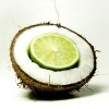 $Lime Coconut.jpg