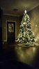 $Christmas Tree 2.jpg