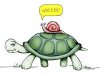 $Tim-turtle-snail.jpg