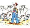 $1030275041-funny-pictures-hens-pretending-to-be-cows-blind-farmer.jpg