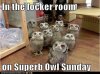 $superb-owl.jpg