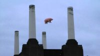 Pigs on the Wing.jpg