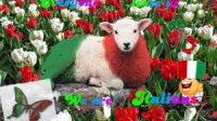 Italian Sheep.jpg