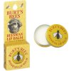 $burts-bees-lip-balm1.jpg