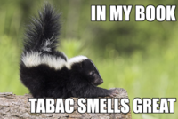 baby skunk's like tabac (meme) 480..png