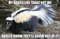 Adult Skunk Hates Tabac. (meme).jpg