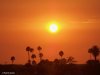 $San Diego Sunset 0081.jpg