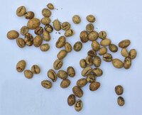 Vietnam-Chon-Weasel-Coffee-beans_20210416.jpg