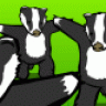 Men Who Stare At Badgers