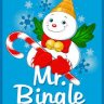 Mr Bingle