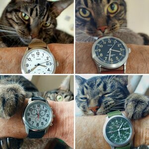 Chester Approved Watches