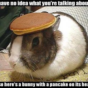 bunny-with-pancake