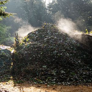 Compost_Heap