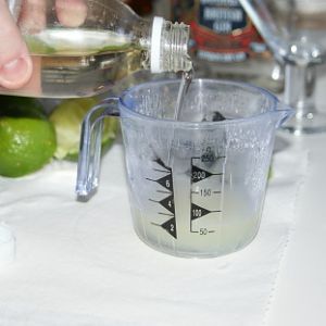 Speakeasy Classic Cocktails - The Gimlet