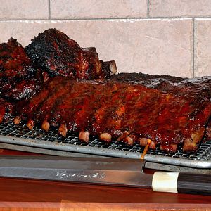 ribs081210